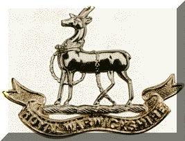 Royal Warwickshire